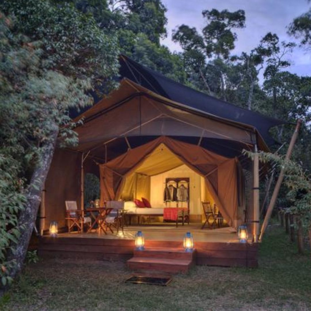 Elephant Pepper Camp tent exterior Elephant Pepper Camp tent exterior
