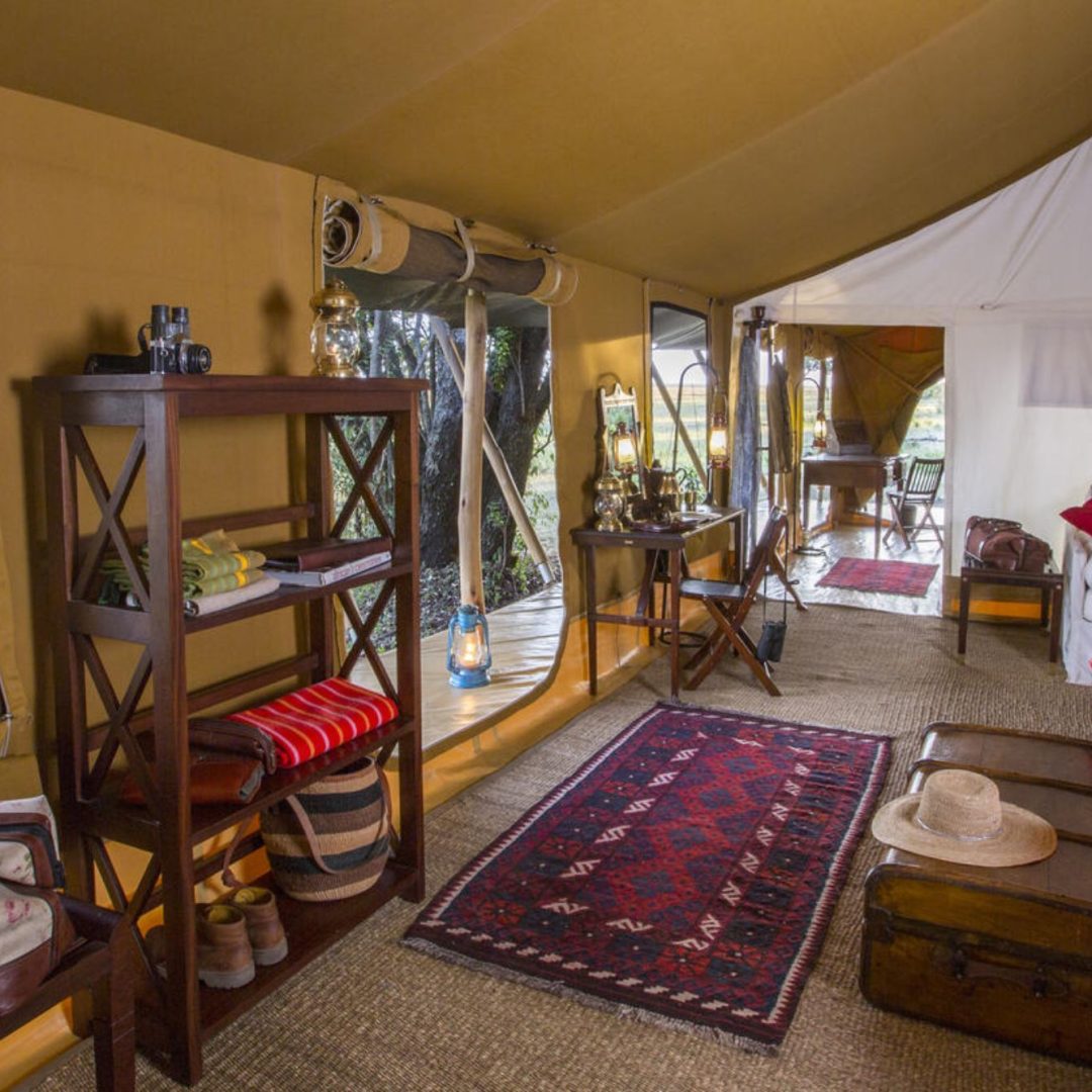 Elephant Pepper Camp tent interior Elephant Pepper Camp tent interior