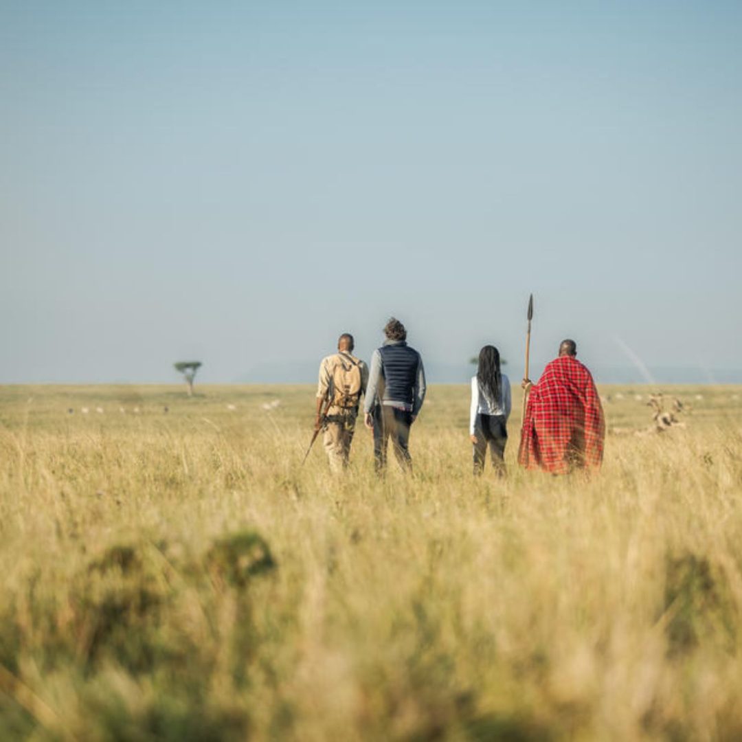 ELEPHANT PEPPER CAMP WALKING SAFARI Elephant Pepper Camp
