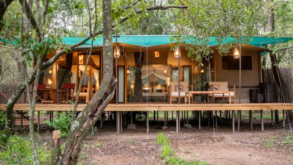 Soroi Luxury Migration Camp