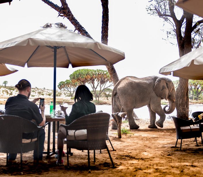 Elephant Bedroom Camp Dining