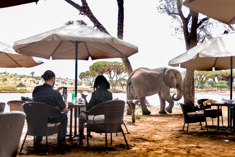 Elephant Bedroom Camp Dining