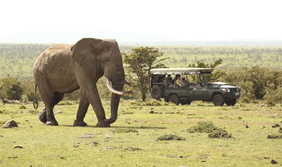encounter-mara-game-drive1