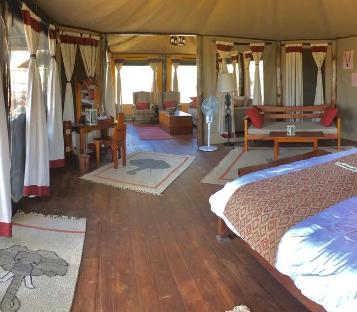 Elephant Bedroom Camp Guest Suite