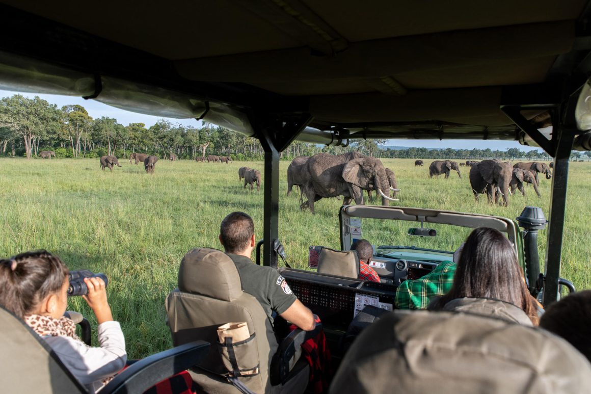 Little Governors Camp Game Drives