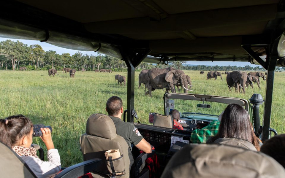 Little Governors Camp Game Drives